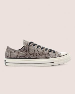 Tenis Bajos Converse Chuck 70 Reptile Gamuza Grises | CV-260UHV