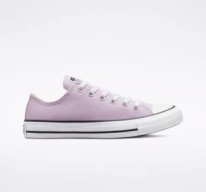 Tenis Bajos Converse Chuck Taylor All Star Seasonal Color Lavanda | CV-165OAT