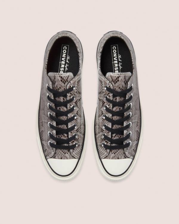 Tenis Bajos Converse Chuck 70 Reptile Gamuza Grises | CV-260UHV