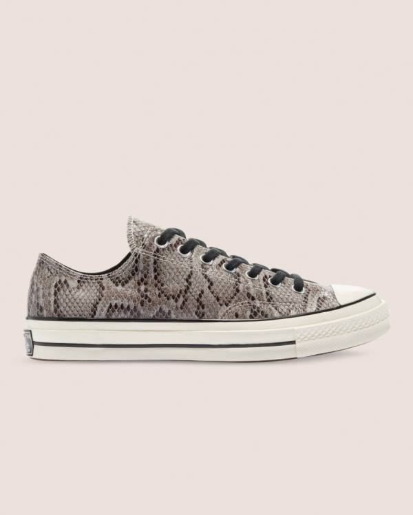 Tenis Bajos Converse Chuck 70 Reptile Gamuza Grises | CV-790LPZ