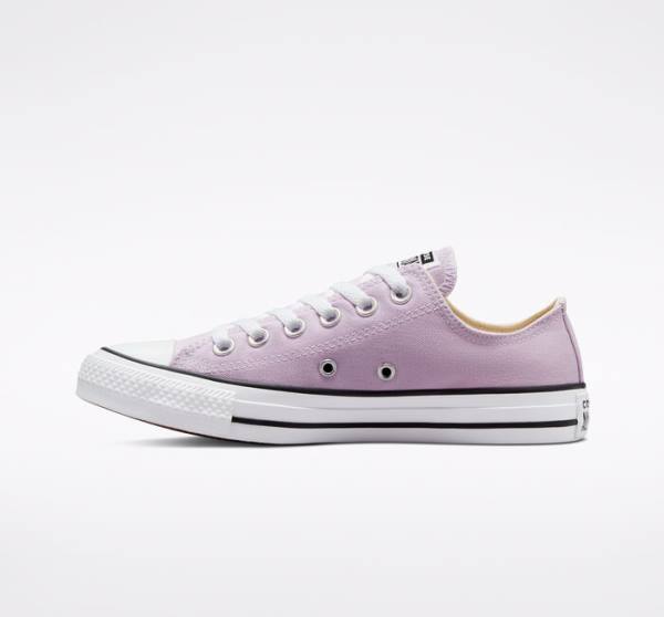 Tenis Bajos Converse Chuck Taylor All Star Seasonal Color Lavanda | CV-165OAT